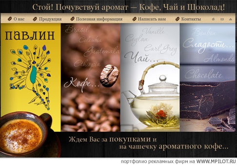  Образец портфолио - Интернет и мультимедиа. ВОДОЛЕЙ - Санкт-Петербург
