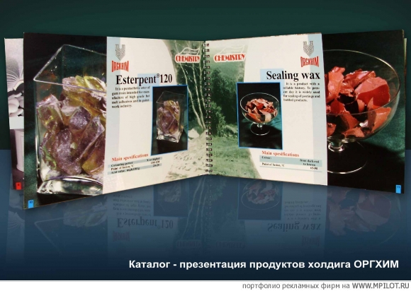 Брендбук холдинга ОРГХИМ.  Образец портфолио - Полиграфия. PROFIPTM - Москва